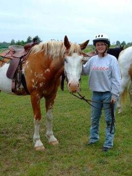 1_horses9