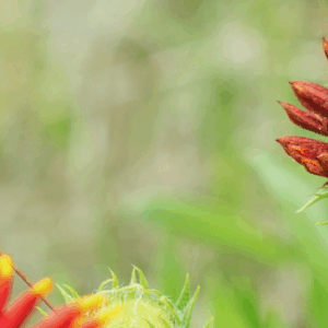 Session 1 & 2 - 4 week - Registration 2026