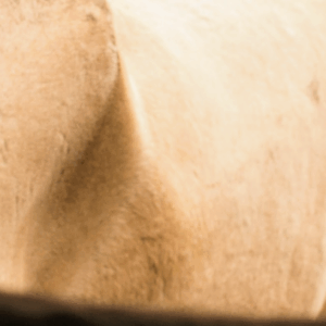 Session 2 Registration 2026