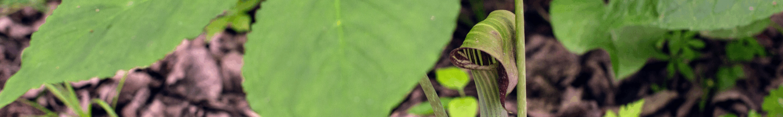 Session 1 Registration 2026